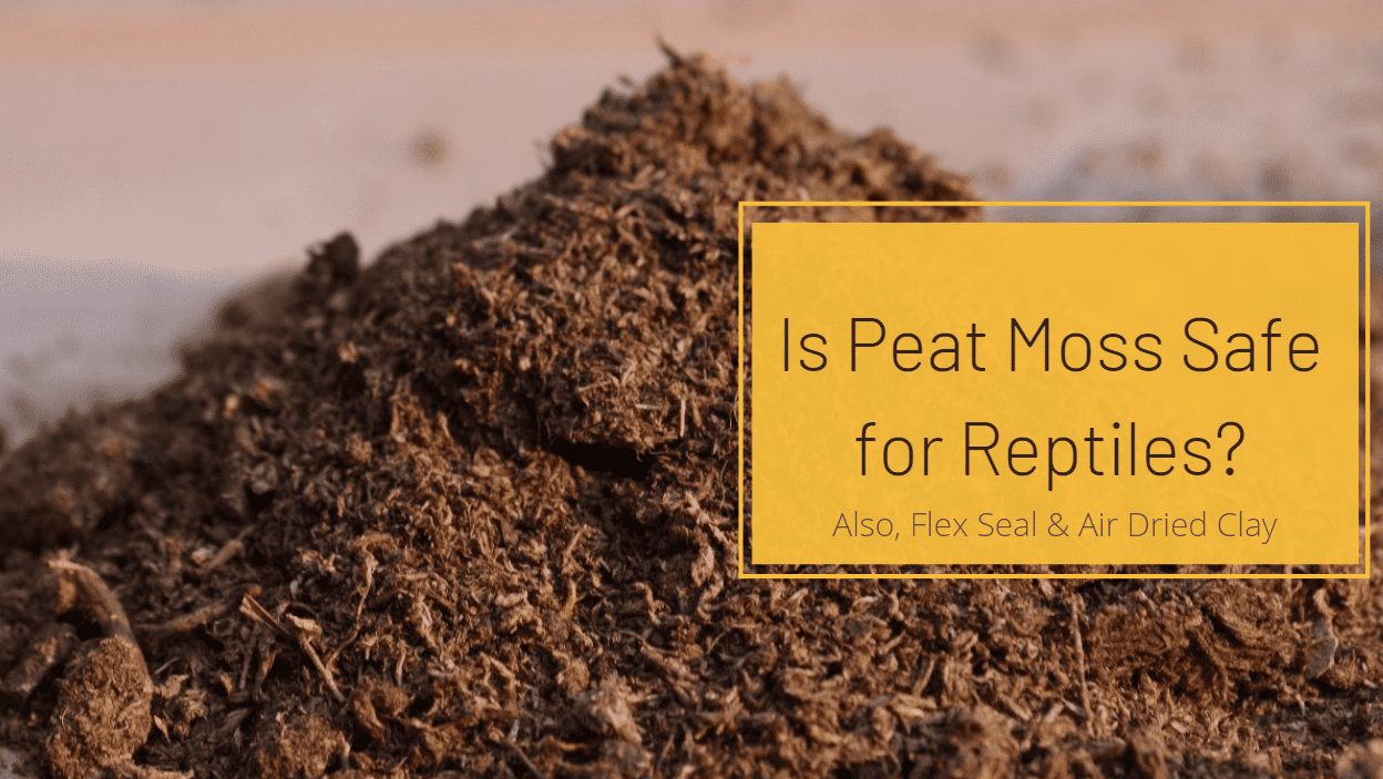 Is peat moss safe for reptiles