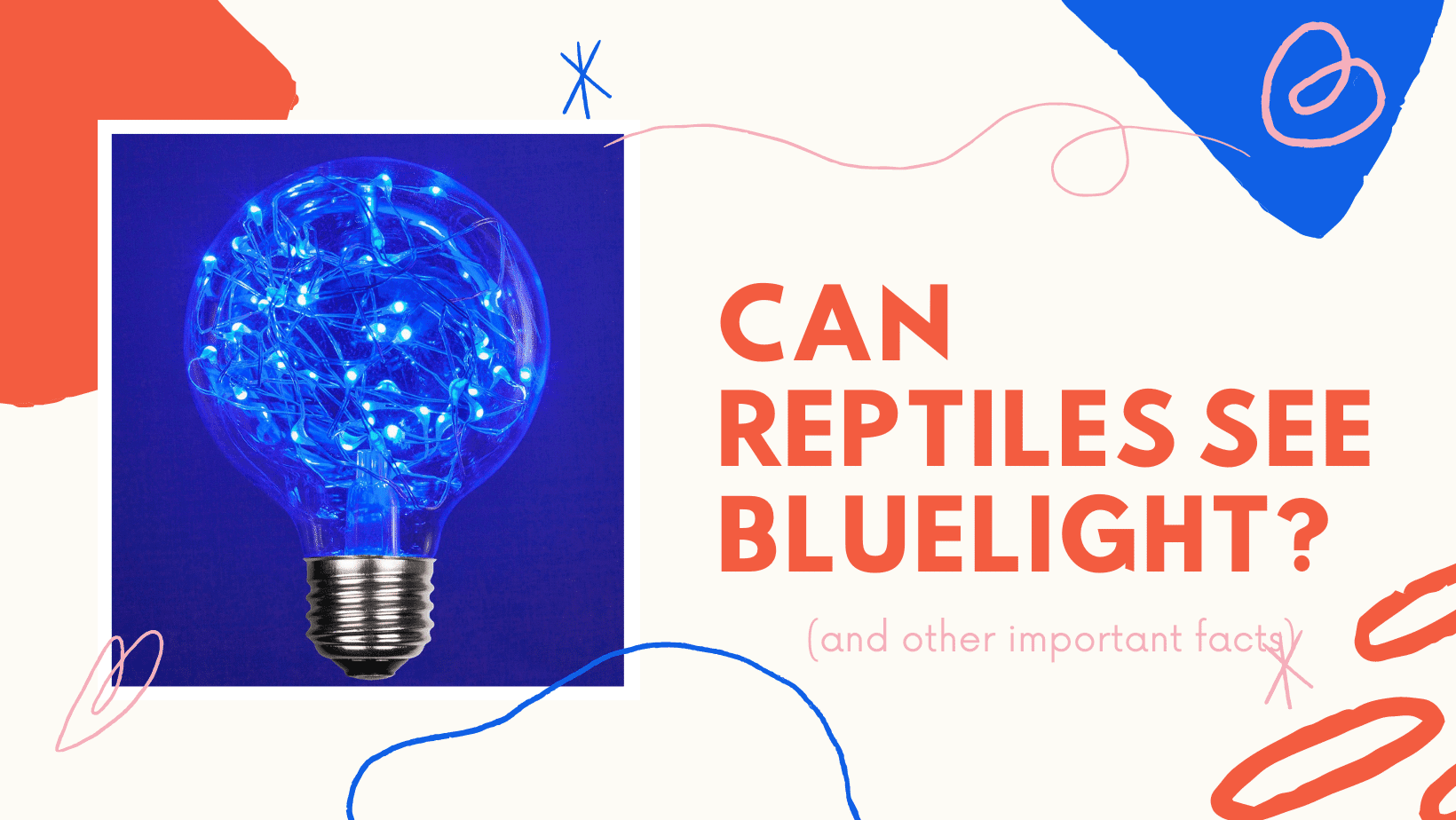can reptiles see blue light