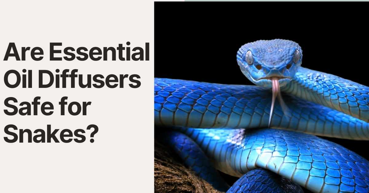 is essential oil diffusers safe for snakes