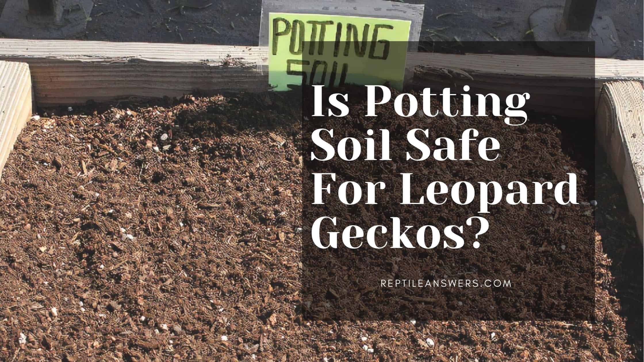 is potting soil safe for leopard geckos